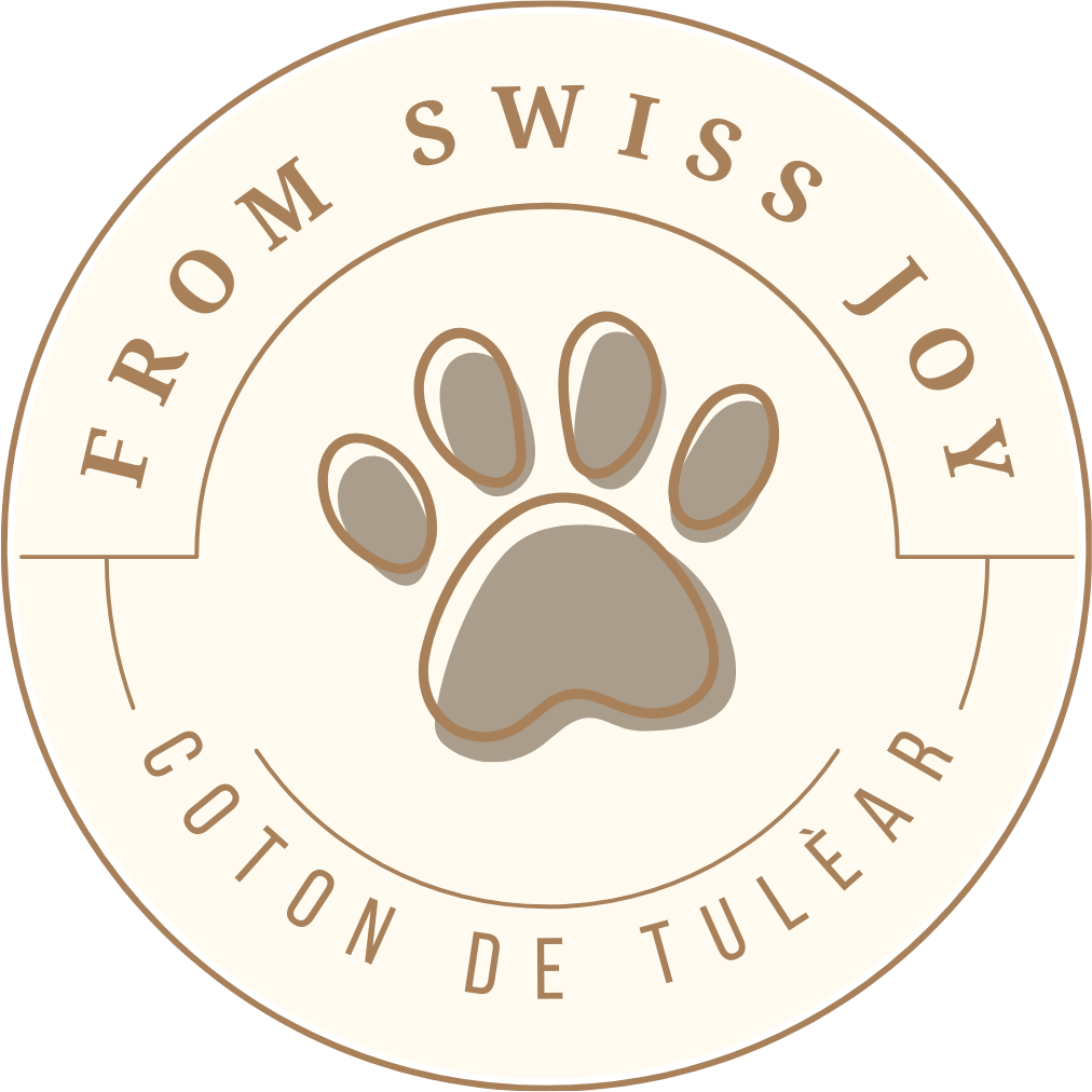 Logo From Swiss Joy1